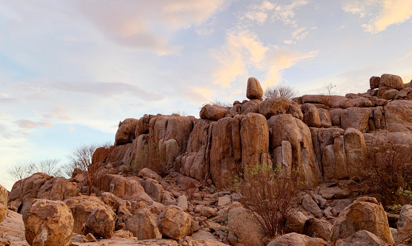 A natural affinity, part two