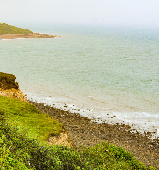 Giving back: Jurassic Coast